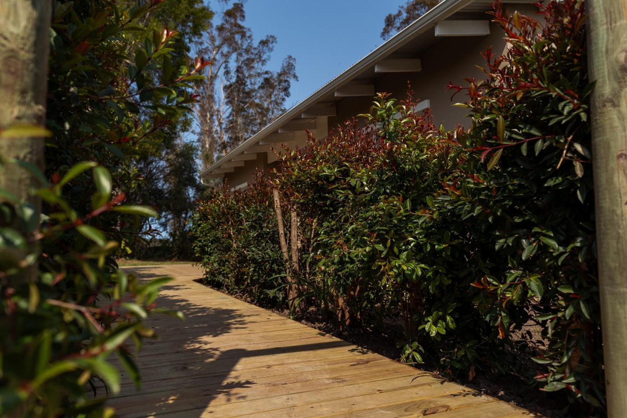 Oakhurst Farm Cottages Wilderness Exterior photo